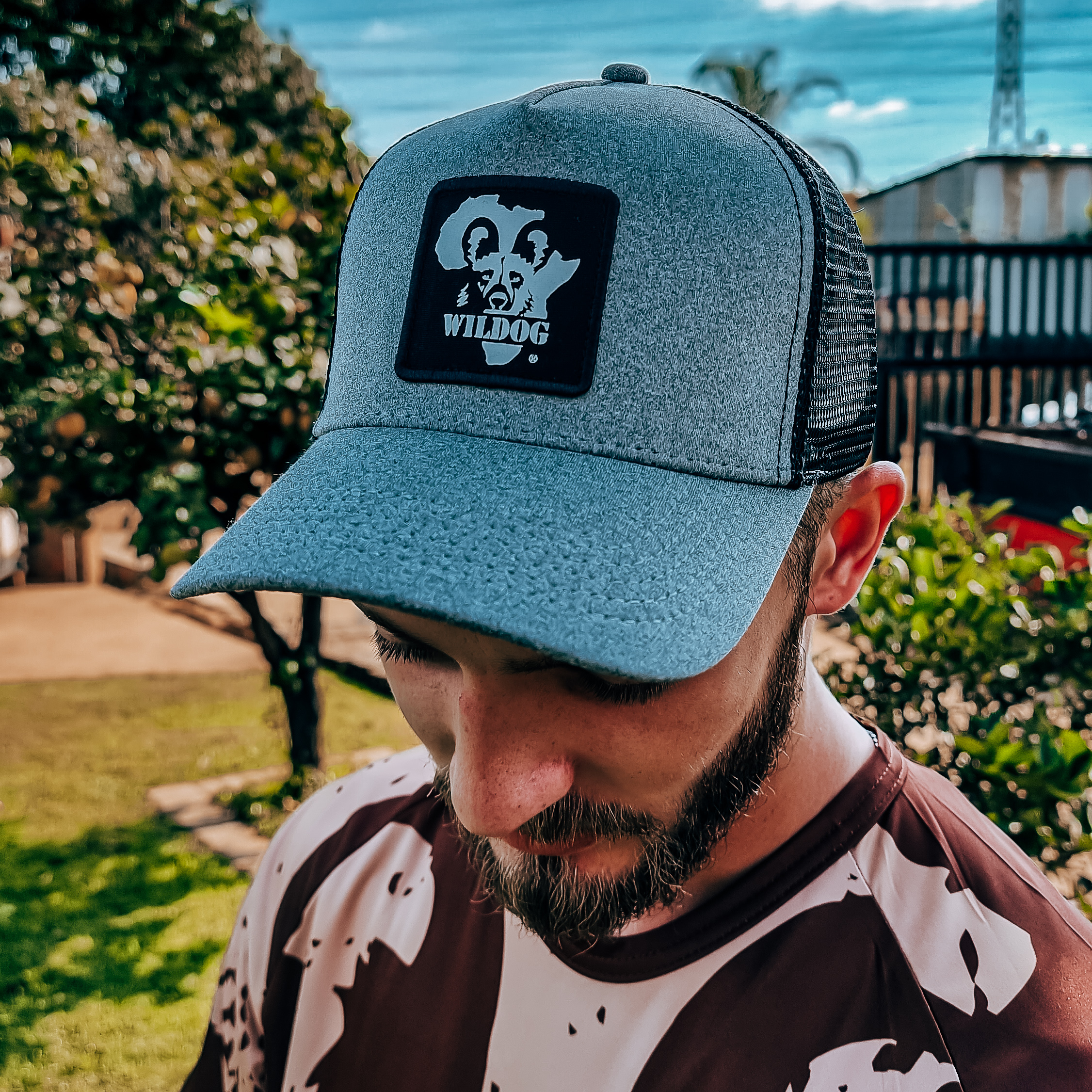 wildog-greyblack-cap